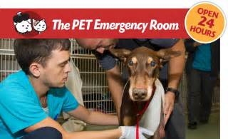 (photo courtesy of angie's list member bobbi p. pet-emergency-room-miami | SVRC