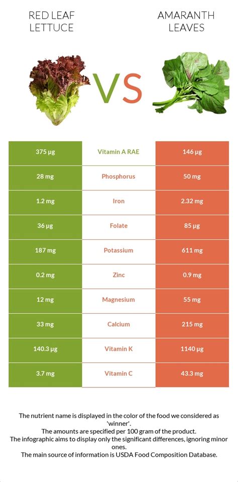 Red Leaf Lettuce Vs Amaranth Leaves — In Depth Nutrition Comparison