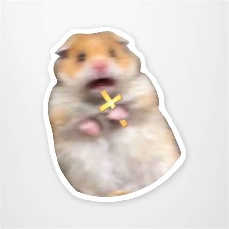 Scared Hamster Stickeryou Store