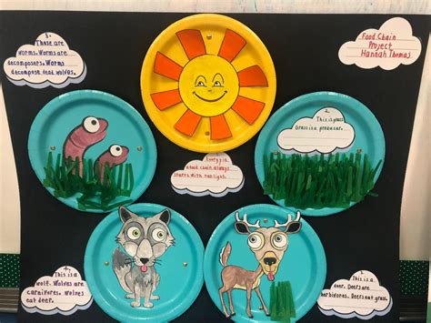 Fourth Grade And Food Chains Indian Springs Elementary