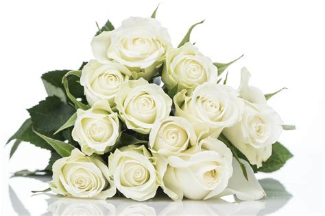 19 White Roses Bouquet With Great Love Send Flower Turkey Online