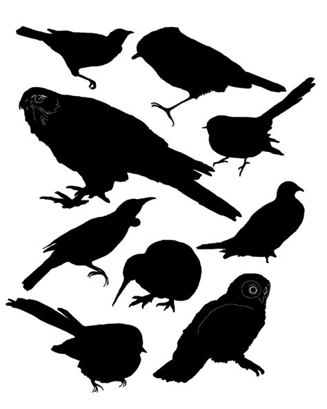 New Zealand Bird Silhouettes Bird Silhouette Bird Stencil Animal