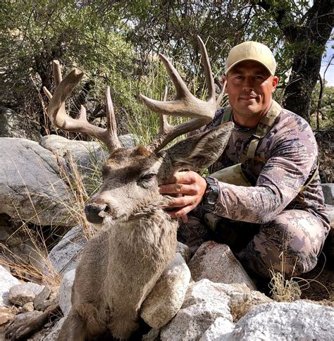 Over The Counter Hunts Arizona Otc Archery Mule Deer Hunts Az