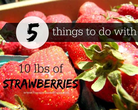 5 Ways To Preserve Strawberries