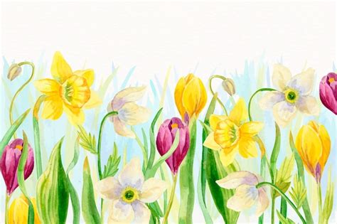 Premium Vector Watercolor Spring Background With Flowers