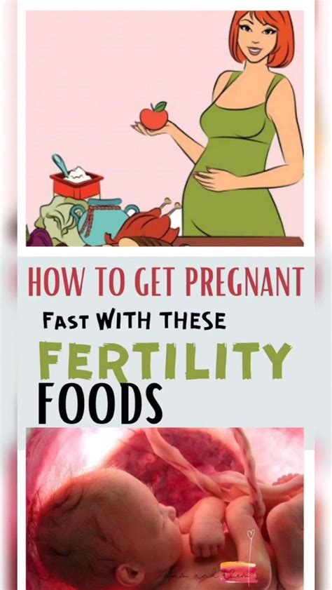 20 Fertility Foods To Get Pregnant Super Fast Artofit