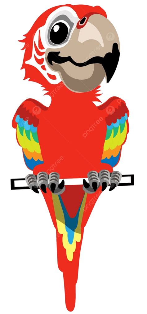 Cartoon Red Macaw Parrot Colorful Parrot Green Winged Vector Colorful