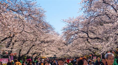 Ueno Onshi Park In Tokyo Expedia