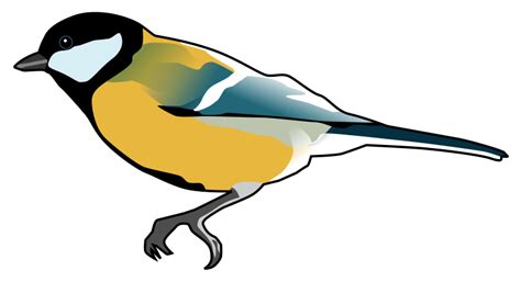 Great Tit Openclipart