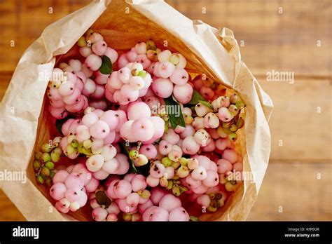 Wild Bouquet Of Pink Snowberries Fresh Organic Decoration Stock Photo