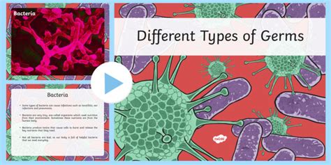 Types Of Germ Powerpoint