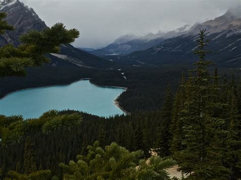 Peyto Lake Banff National Park Alberta Canada Oc 3264x2448