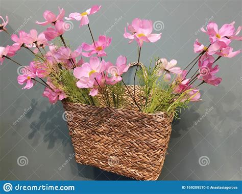 Pink Flowers In A Wicker Basket On Gray Wall Stock Photo Image Of