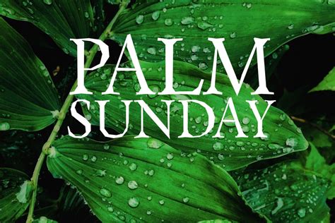 Palm Sunday Praise — Oakwood Baptist Church