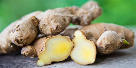 How To Grow Ginger Indoors Growing Ginger Root At Home