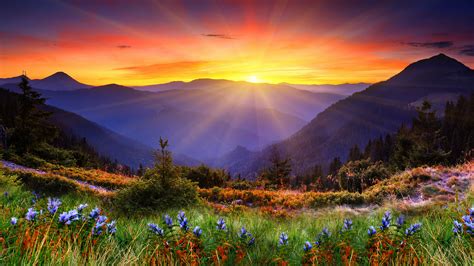 Wallpaper New Zealand 5k 4k Wallpaper 8k Mountain Sunset Flowers