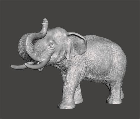 Elephant Asian 3d Model 3d Printable Cgtrader