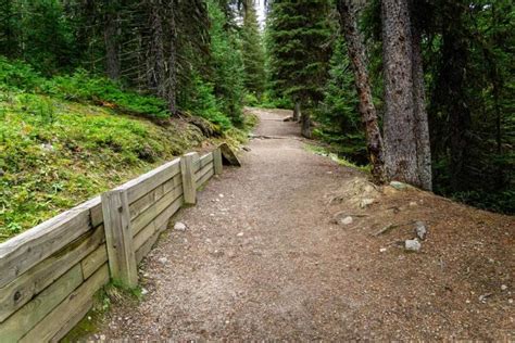 Larch Valley Hike In Banff National Park Updated For 2023 Travel