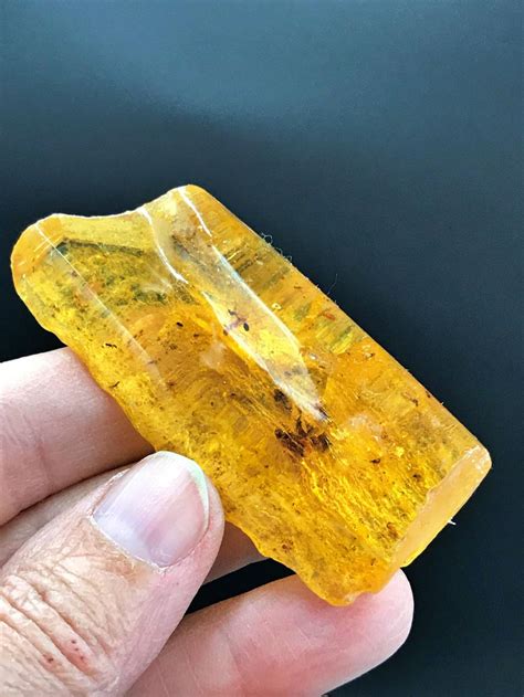 Amber Fossil Natural Collectible Specimen Mineral