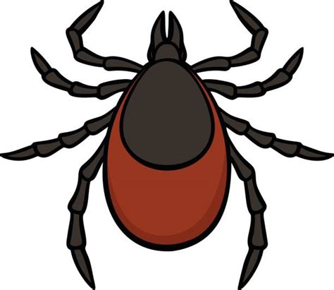 Tick Cliparts Free Download On Clipartmag