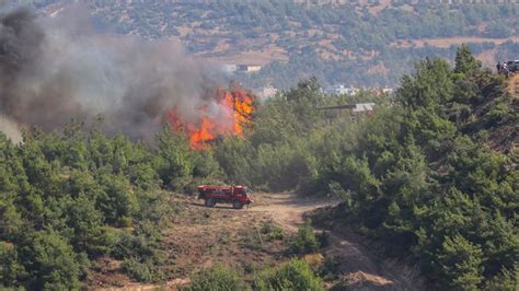 Serpil altunyay ara 28, 2020 0. Hatay'daki orman yangınları kontrol altına alındı