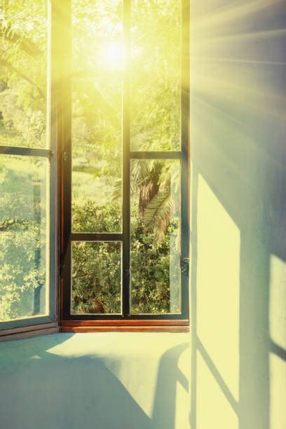 Sun Shining Through Window Stock Photos Pictures And Royalty Free Images
