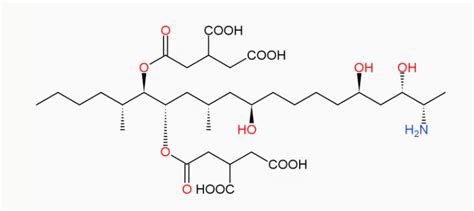 Molecules Free Full Text Research Progress On Fumonisin B1