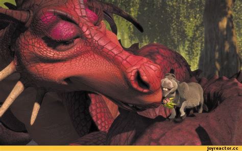 Pin By Penochka On Animation Shrek Dragon Donkey And Dragon Shrek