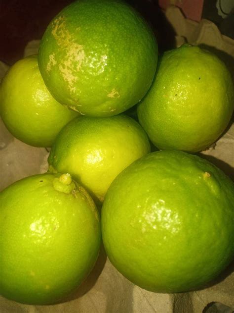 Monyet atau kera (monkeys) merupakan sejenis haiwan dari rumpun primate haplorin iaitu rumpun haiwan yang selalunya berada atau tinggal berhampiran manusia di negara kita dan juga luar negara. Cucuk Cengkih Pada Limau Nipis, Betul-Betul Menjadi Petua ...