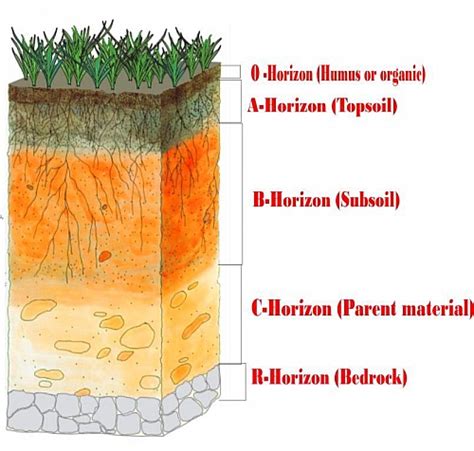 Layers Of Soil Definition Description With Diagram Soil Profile