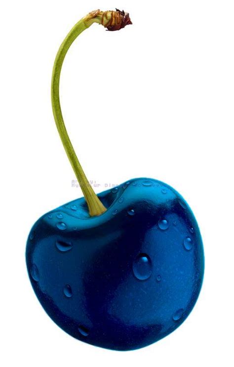 Blue Cherry Craft Design Preston
