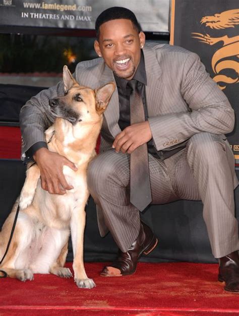 27 Famous Celebs With Their Dogs Best Celebrity Dog Photos