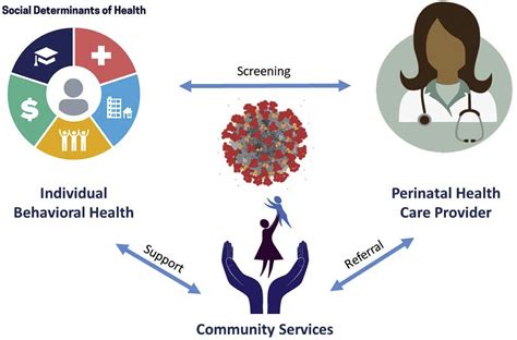 Perinatal Behavioral Health The Covid 19 Pandemic And A Social Determinants Of Health