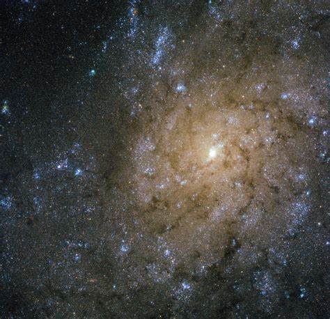 Hubble Views Spiral Galaxy Ngc 7793