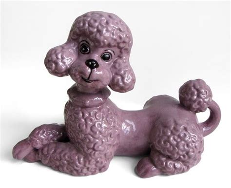17 Best Images About Everything Poodle On Pinterest French Poodles