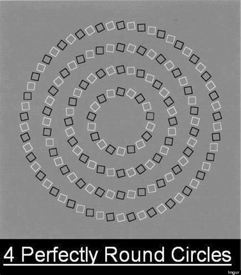 These Best Optical Illusions Will Make You Confuse Digestposts