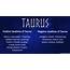 Find Positives And Negatives Of Your Zodiac Sign  Taurus