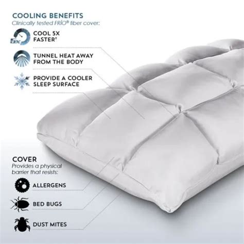 Sub 0 Softcell Chill Reversible Antimicrobial Cooling Memory Foam Pillows Two Styles