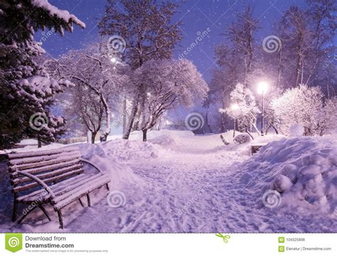 Beautiful Winter Night Landscape Of Snow Covered Bench Among Snowy Trees And Shining Lights