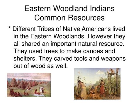 Ppt Eastern Woodlands Indians Powerpoint Presentation Id1410740