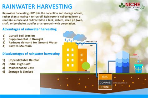 Rainwater Harvesting Advantages And Disadvantages Niche Agriculture