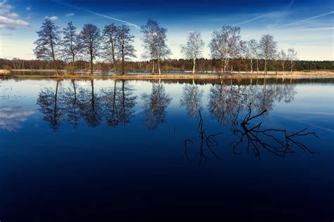 Beautiful Blue Sky Dawn Dusk Forest Lake Landscape Light