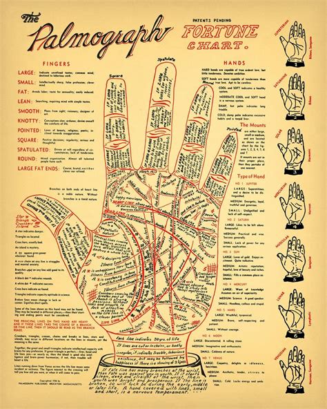 Vintage Palmistry Chart Sizes Fortune Telling Cheiromancy Occult Palm Reading Tarot Antique