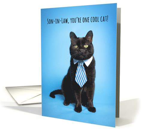 Happy Fathers Day Son In Law Cute Cat In Blue Tie Humor Card