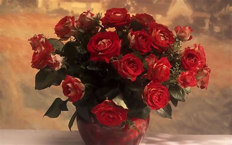 Beautiful Red Rose Flowers Hd Wallpaper