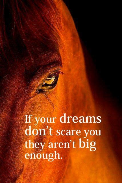 If your dreams don't scare you, they are not big enough. If your dreams don't scare you they aren't big enough. | Notable Quotes | Pinterest | Horse ...