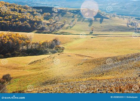 Autumn Bashang Grassland Hillside Stock Image Image Of Blue Grass