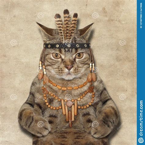 A Cat Is A American Indian Stock Photo Image Of Tribe Feather