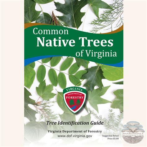 Common Native Trees Of Virginia Sharondale Mushroom Farm