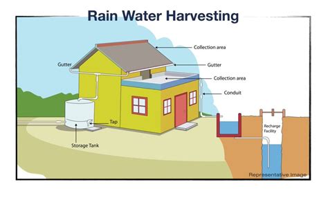 Rainwater Harvesting Diagram